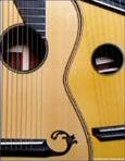 Steel String Arch Harp Guitar - Front - close