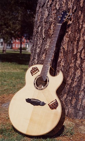 Perlman custom made guitars, detail photo
