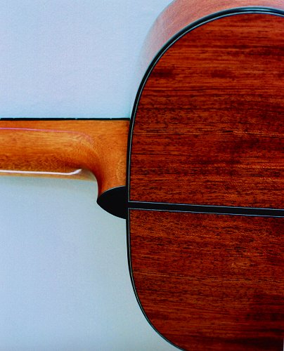 Perlman custom made guitars, detail photo