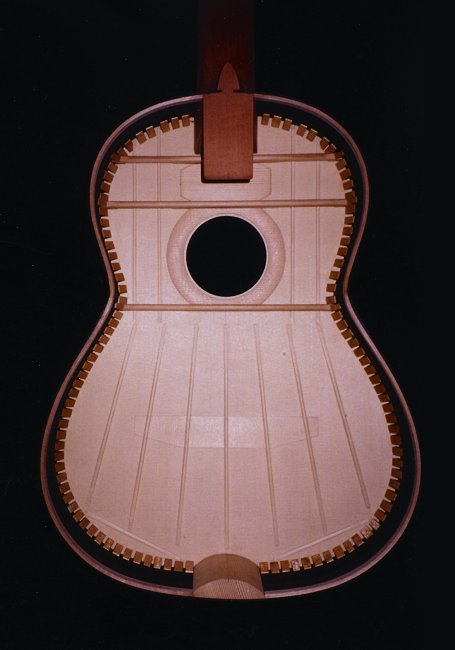 Perlman custom made guitars, detail photo