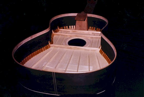 Perlman custom made guitars, detail photo