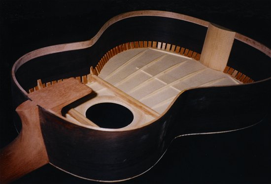 Perlman custom made guitars, detail photo