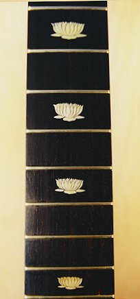 Perlman custom made guitars, detail photo