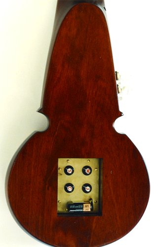 Perlman custom made guitars, detail photo