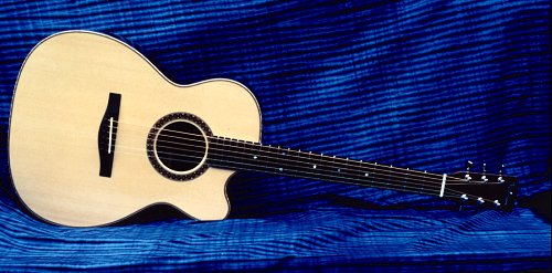 Perlman custom made guitars, detail photo