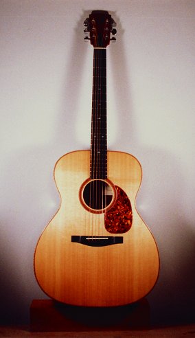 Perlman custom made guitars, detail photo