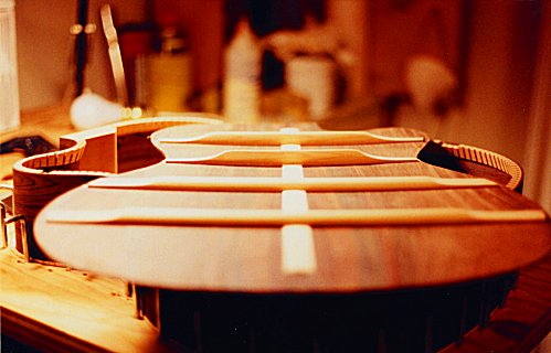 Perlman custom made guitars, detail photo